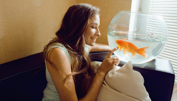Can Fish Love Their Owners